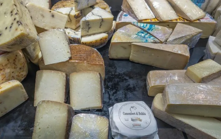 Деликатесные сыры