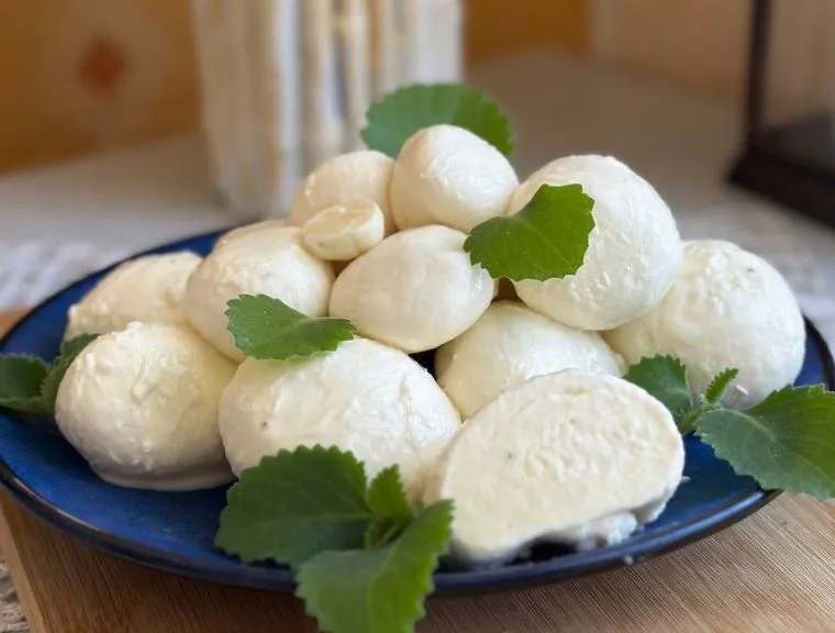 Домашний сыр моцарелла
