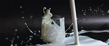 Как пастеризовать молоко и зачем это нужно