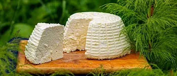 Самый дорогой сыр: топ уникальных сортов Самый дорогой сыр: топ уникальных сортов