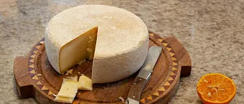 Полезный и вредный белый налет на сыре