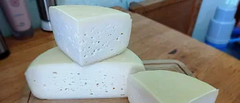 Тильзитер: вкус, история, сорта