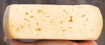 Сыр Монтазио: описание вкуса, происхождение и сочетания Сыр Монтазио: описание вкуса, происхождение и сочетания